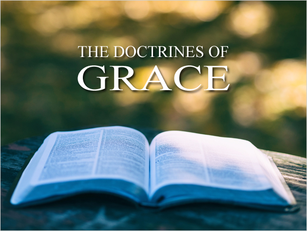 The Doctrines of Grace